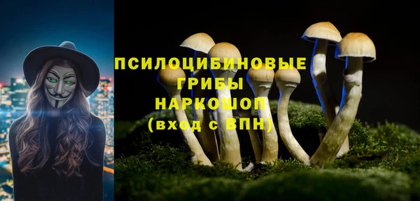 индика Белокуриха