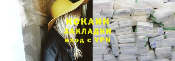 индика Белокуриха