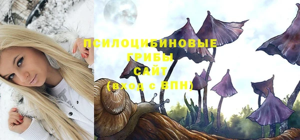 индика Белокуриха
