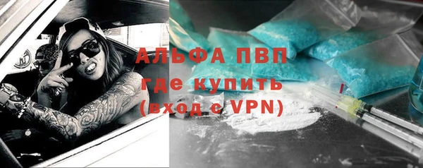 индика Белокуриха