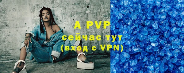 индика Белокуриха