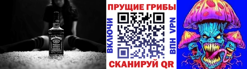 Галлюциногенные грибы Cubensis закладки Оха